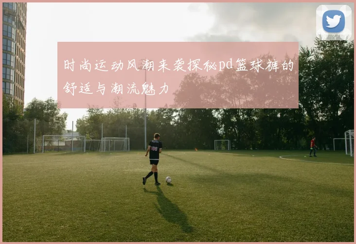 时尚运动风潮来袭探秘pd篮球裤的舒适与潮流魅力