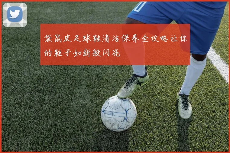 袋鼠皮足球鞋清洁保养全攻略让你的鞋子如新般闪亮