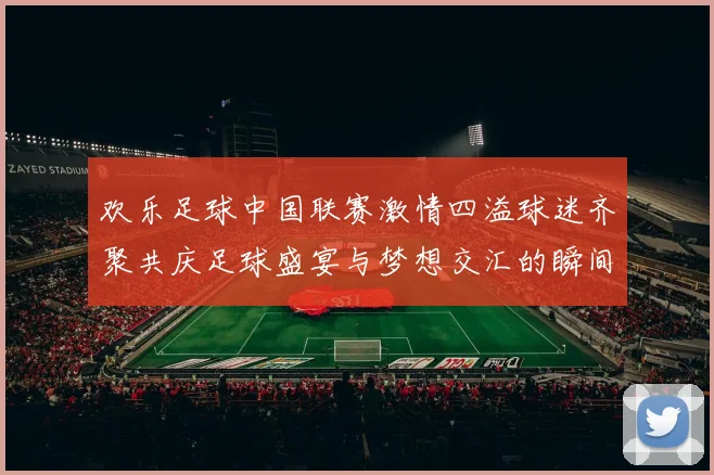 欢乐足球中国联赛激情四溢球迷齐聚共庆足球盛宴与梦想交汇的瞬间