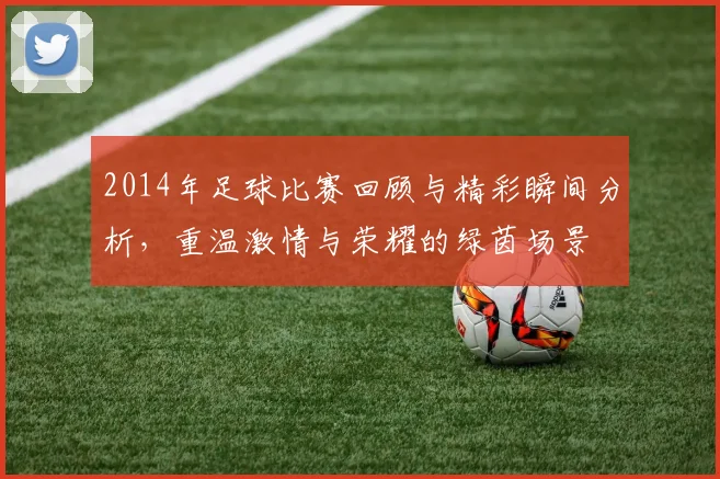 2014年足球比赛回顾与精彩瞬间分析，重温激情与荣耀的绿茵场景