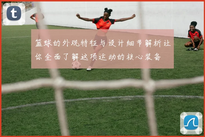 篮球的外观特征与设计细节解析让你全面了解这项运动的核心装备