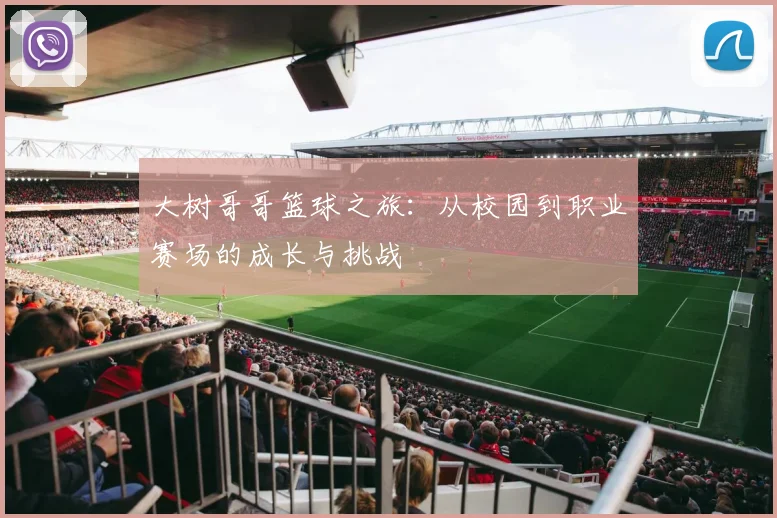 大树哥哥篮球之旅：从校园到职业赛场的成长与挑战