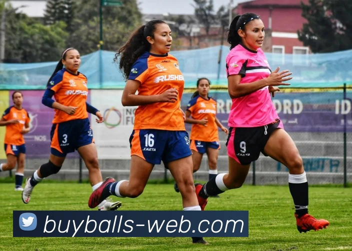 买球官网平台生态图