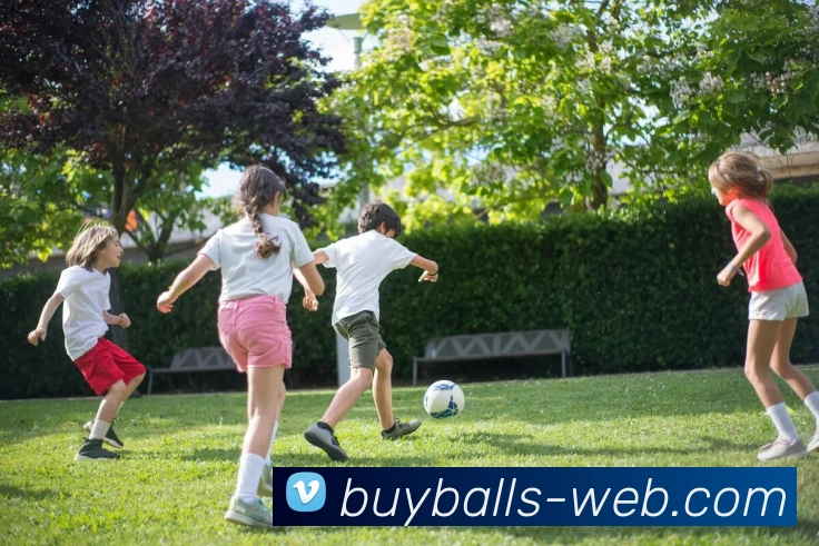 买球官网全站App